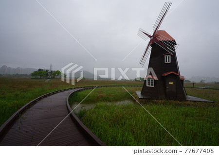 Incheon Metropolitan City. Sorae Wetland Park. Coastal area. Windmill. Walking trail Incheon Metropolitan City. Sorae Wetland Park. Coastal area. Windmill. Walking trail 77677408