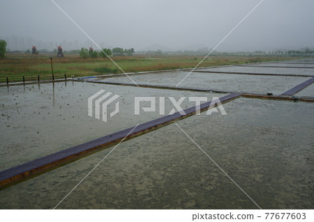 Incheon Metropolitan City. Sorae Wetland Park. Windmill. Salt farm. Coastal area 77677603