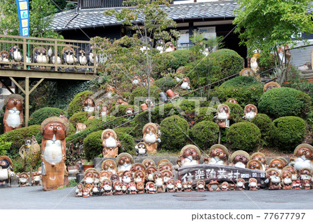 Shrine of Shigaraki ware 77677797