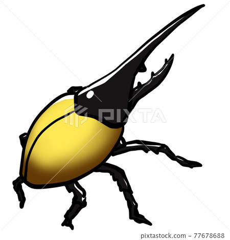 現實的大力神甲蟲插圖 77678688