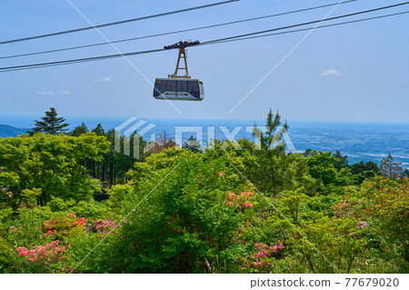 Azaleas and Mt. Tsukuba Ropeway that bloom in spring in Ibaraki Prefecture Azaleas and Mt. Tsukuba Ropeway that bloom in spring in Ibaraki Prefecture 77679020