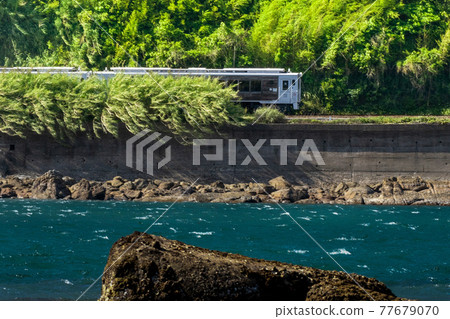 日南線特快 海幸山幸沿著綠樹成蔭的碼頭行駛 77679070