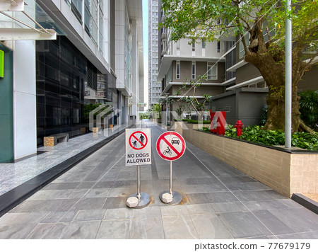 No dog allowed and parking prohibition sign in residential area No dog allowed and parking prohibition sign in residential area 77679179