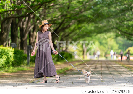 一位年輕女子帶著小狗柏之葉公園散步 77679296