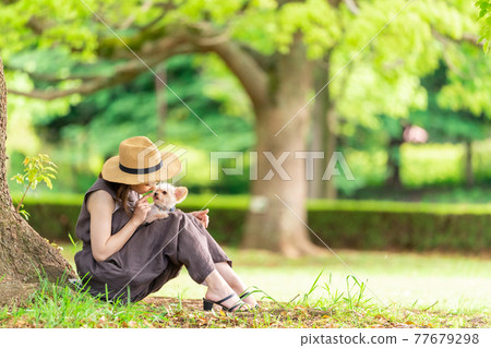柏之葉公園,一位年輕女子帶著小狗散步,在樹蔭下休息 柏之葉公園,一位年輕女子帶著小狗散步,在樹蔭下休息 77679298