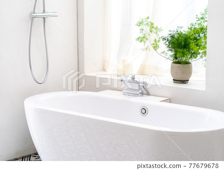 浴室內部圖像 浴室內部圖像 77679678