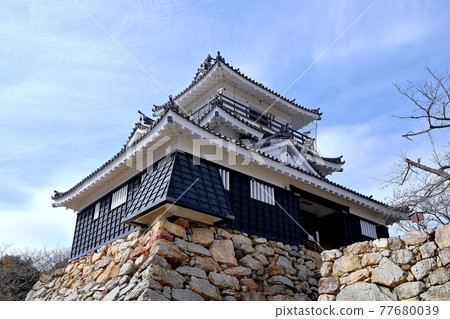 Hamamatsu Castle castle tower 77680039