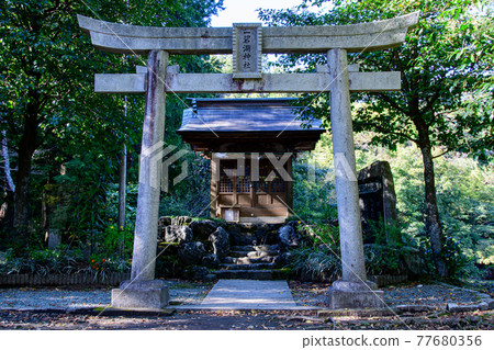 Torii of Ippekiko Shrine Torii of Ippekiko Shrine 77680356
