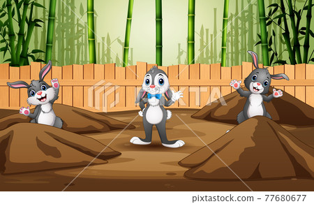 Funny three of bunnies in the farm Funny three of bunnies in the farm 77680677