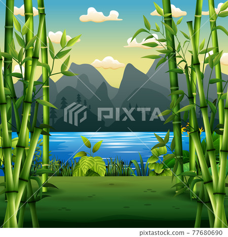 Nature scene with bamboo trees by the river Nature scene with bamboo trees by the river 77680690