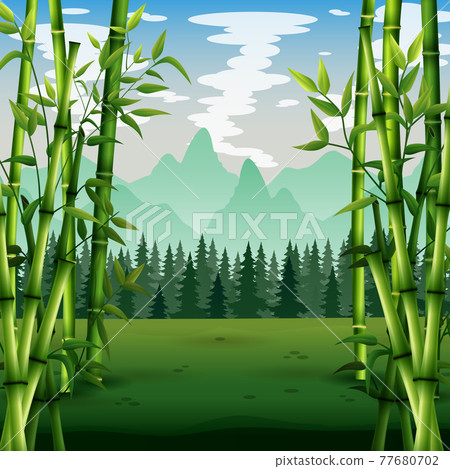 Green bamboo trees background inside the forest - Stock Illustration ...