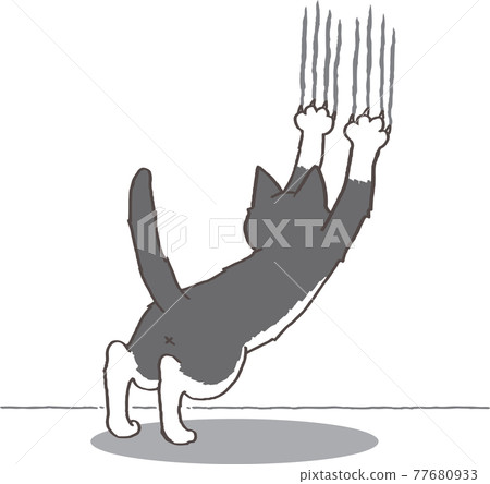 Brindle cat with claws on the wall 77680933