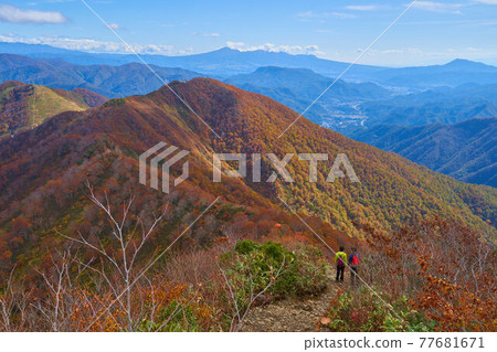 Tanigawadake in autumn From the vicinity of the Tengu stop to the southeast side (Tenjin Pass, Tenjindaira, Akagiyama, etc.) 77681671