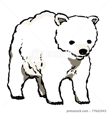 現實的北極熊圖 77682043