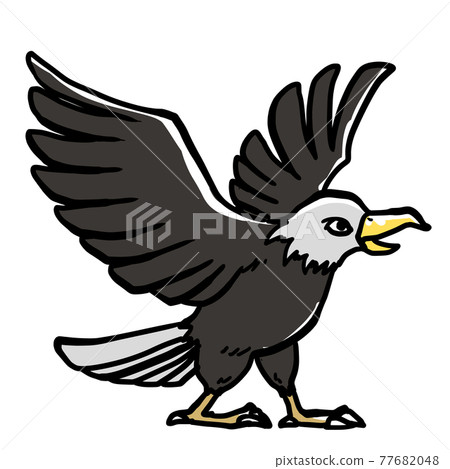 Realistic eagle illustration 77682048