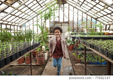 Little boy in greenhouse Little boy in greenhouse 77682187