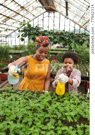 Woman with child working in a greenhouse Woman with child working in a greenhouse 77682314