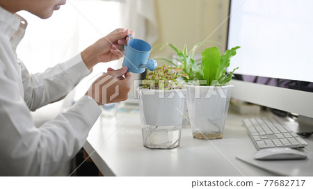 An office man is watering the potted plant at the white working desk. An office man is watering the potted plant at the white working desk. 77682717