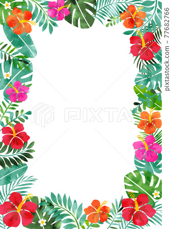 Watercolor hibiscus and tropical summer background frame Watercolor hibiscus and tropical summer background frame 77682766