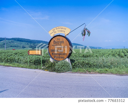 Austria Vienna Austria Vienna 77683312