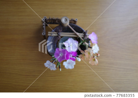 竹梅形狀的花瓶中的石竹 竹梅形狀的花瓶中的石竹 77683355