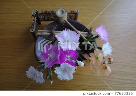 竹梅形狀的花瓶中的石竹 竹梅形狀的花瓶中的石竹 77683356