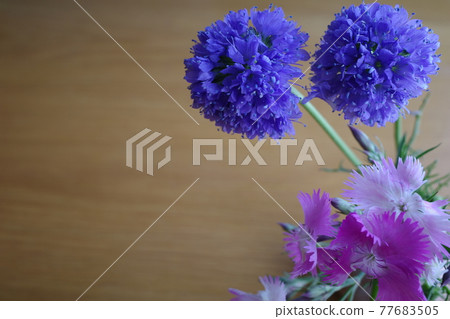 在花瓶的三種五顏六色的春天花 77683505