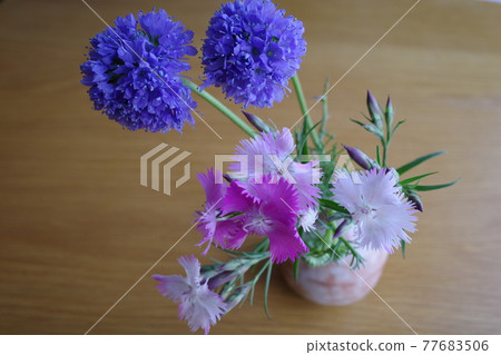 萩燒花瓶中的三種五顏六色的春花 萩燒花瓶中的三種五顏六色的春花 77683506