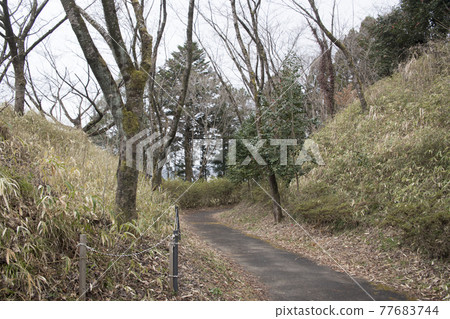 天跡遺跡-大花廣場發掘 天跡遺跡-大花廣場發掘 77683744