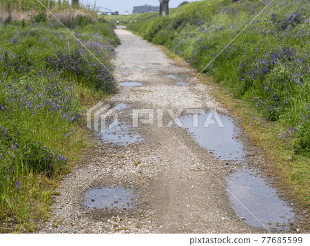Scenery of a gravel road with a puddle Scenery of a gravel road with a puddle 77685599