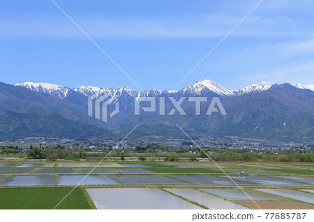 May in Azumino Countryside and Northern Alps 77685787