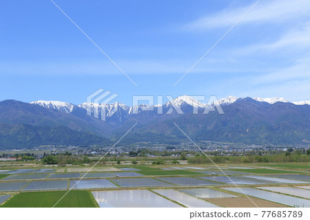 May in Azumino Countryside and Northern Alps 77685789