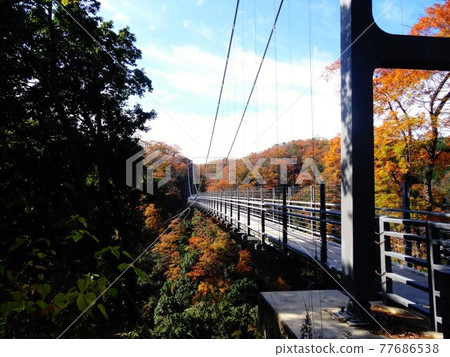 Okuizumo Town in Autumn 77686538