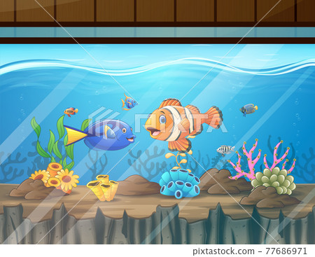 Different colorful fish in the aquarium Different colorful fish in the aquarium 77686971