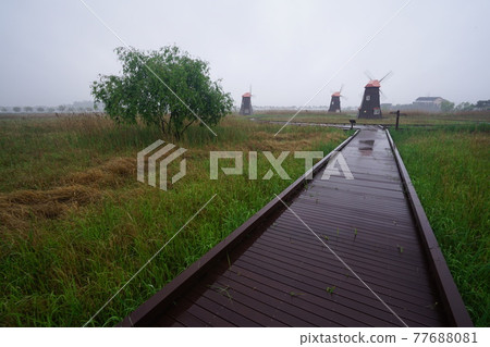 Windmill. Incheon Metropolitan City. Sorae Wetland Park. Tidal flat. Coastal area Windmill. Incheon Metropolitan City. Sorae Wetland Park. Tidal flat. Coastal area 77688081