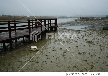 Windmill. Incheon Metropolitan City. Sorae Wetland Park. Tidal flat. Coastal area Windmill. Incheon Metropolitan City. Sorae Wetland Park. Tidal flat. Coastal area 77688103