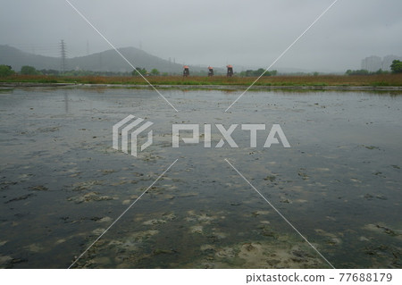 Windmill. Incheon Metropolitan City. Sorae Wetland Park. Tidal flat. Coastal area 77688179