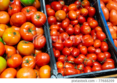 Ripe tomatoes offered for sale on market Ripe tomatoes offered for sale on market 77688209