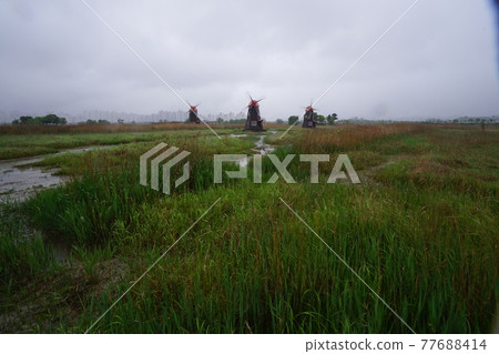 Sorae Wetland Park. Walking trail. Incheon Metropolitan City. Tidal flat. Windmill. Wind 77688414