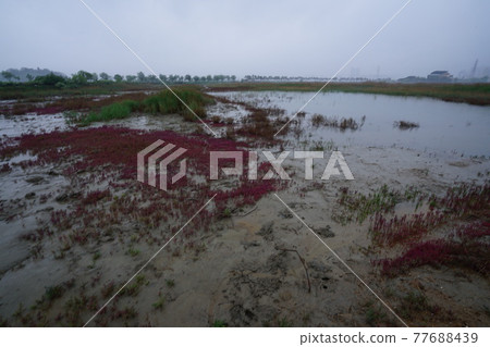蘇來濕地公園, 步道, 仁川廣域市, 泥灘, 風車, 風 77688439