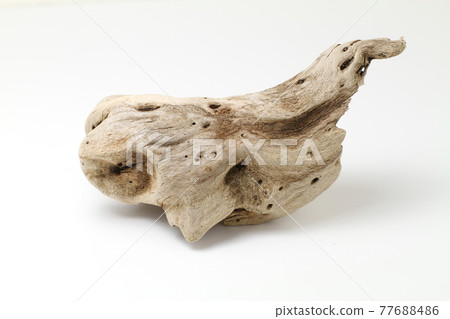 Small driftwood picked up on the beach Small driftwood picked up on the beach 77688486
