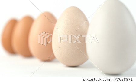 sorted five shades of egg, 3d illustration 77688871
