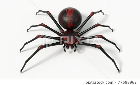 black spider with red skin details. 3D illustration 77688962