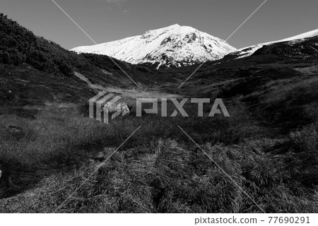 初雪的旭岳（單色版） 77690291