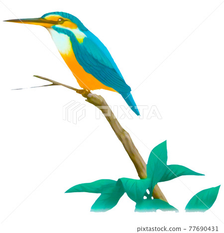 逼真的彩色鳥圖 77690431