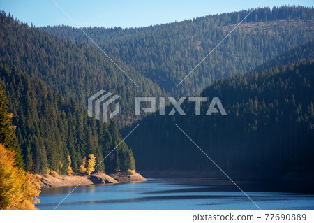 mountain lake in autumn season. beautiful countryside scenery on a sunny morning. bright blue sky with fluffy clouds reflecting on the water surface mountain lake in autumn season. beautiful countryside scenery on a sunny morning. bright blue sky with fluffy clouds reflecting on the water surface 77690889