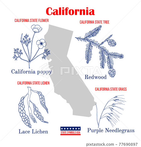 California. Set of USA official state symbols 77690897