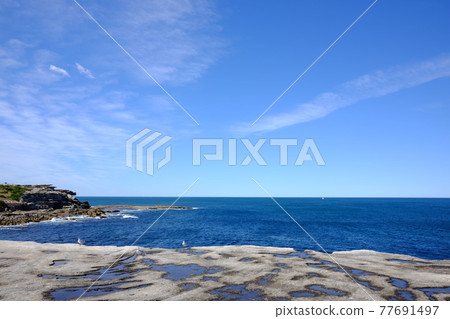 悉尼最美麗的海岸線邦迪到庫吉沿海步道戈登灣 悉尼最美麗的海岸線邦迪到庫吉沿海步道戈登灣 77691497