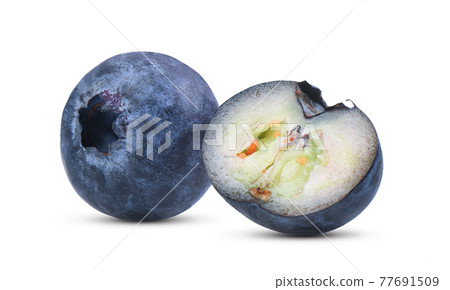 Blueberry on white background 77691509
