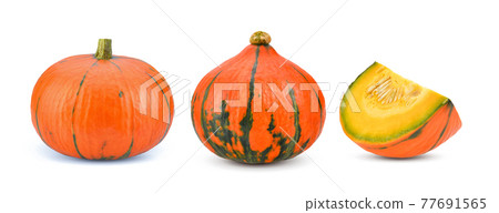 pumpkin on white background. 77691565